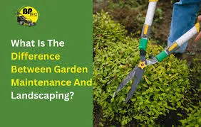 BP Blitz Garden Maintenance and Landscaping Services